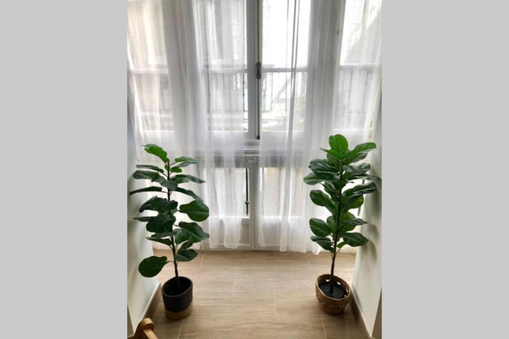 Gatu Premium Villa Libertad, Preferente Mayores De 25 Anos Y Familias Кадис Экстерьер фото